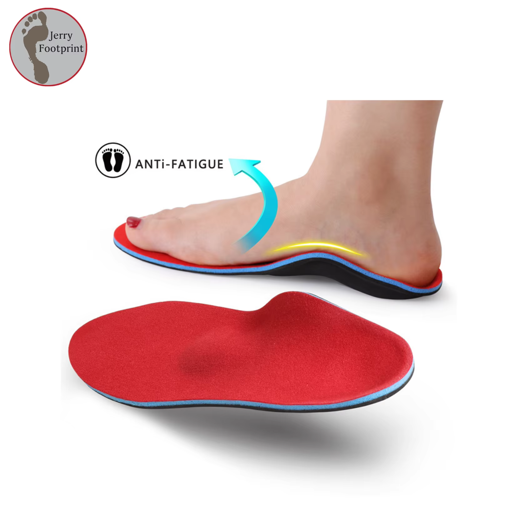 DM-WR04 | Ortholite Multi-Layer Comfort Insoles with TPU - Jinjiang Dingmao Shoes Co., Ltd.